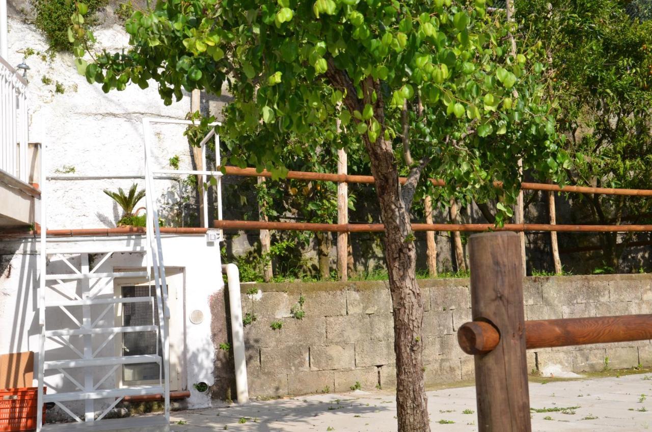 Villa Luciana Sant'Agnello Bagian luar foto