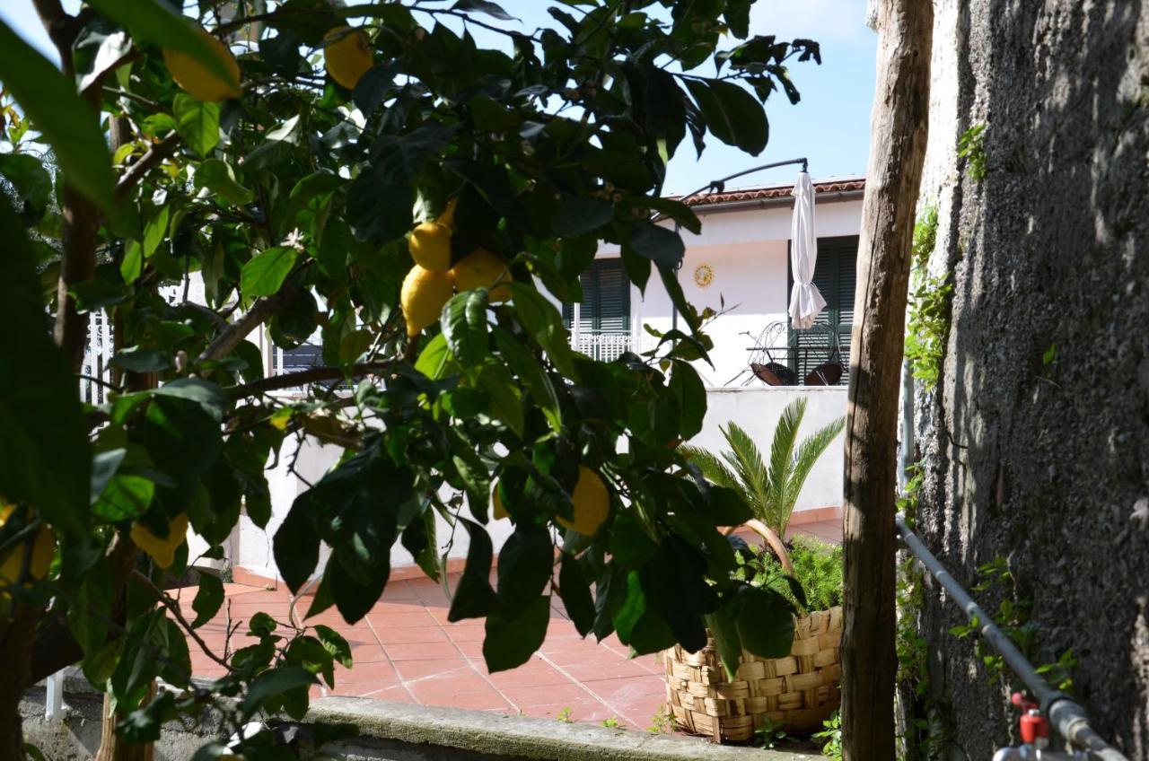 Villa Luciana Sant'Agnello Bagian luar foto